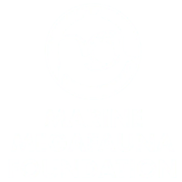White circular logo with stylized manta ray and sea turtle silhouettes above bold stacked text MARINE MEGAFAUNA FOUNDATION