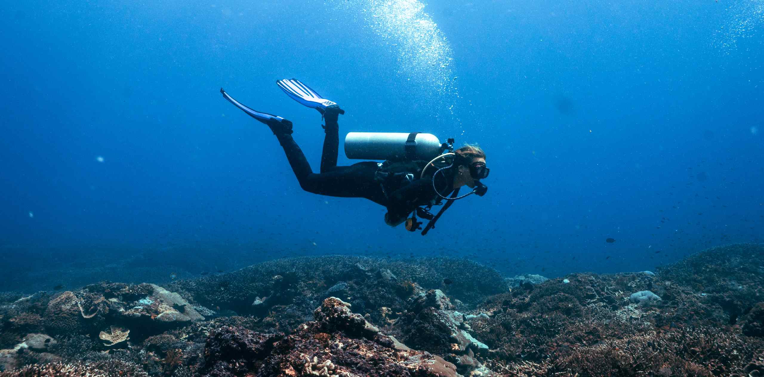 Der ultimative Leitfaden zum Freediving in Nusa Penida
