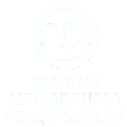 Stylized round logo showing silhouettes of a whale, manta ray, and sea turtle, with the text Marine Megafauna Foundation below.