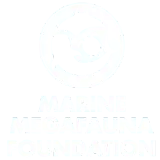 White circular logo with stylized manta ray and sea turtle silhouettes above bold stacked text MARINE MEGAFAUNA FOUNDATION
