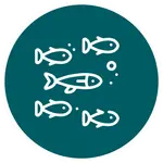 Stylized white line drawing of a school of five fish, one larger among smaller ones, with bubbles inside a teal circular badge.