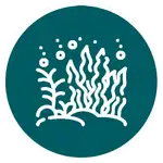 Stylized white seaweed and underwater plants with rising bubbles inside a teal circular badge with a white border