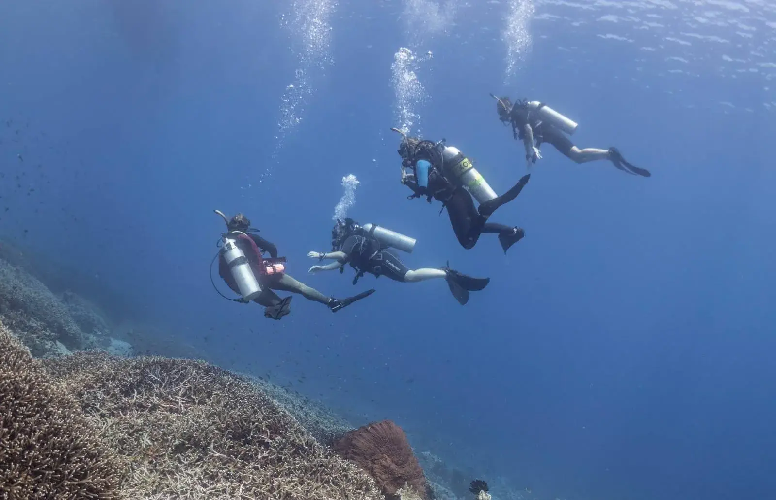 Vier Taucher schweben über einem Korallenriff bei Nusa Penida und blasen Luftblasen, während sie die Unterwasserwelt erkunden.