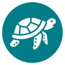 White stylized sea turtle with segmented shell and spotted flippers on teal circular background with white rim.
