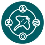 Grafisches rundes Logo mit Rochen in der Mitte und vier Ikonen (Pflanze, Flamme, Wellen, Tropfen) im Kreis, Texthinweis Nusa Penida nicht sichtbar but implied