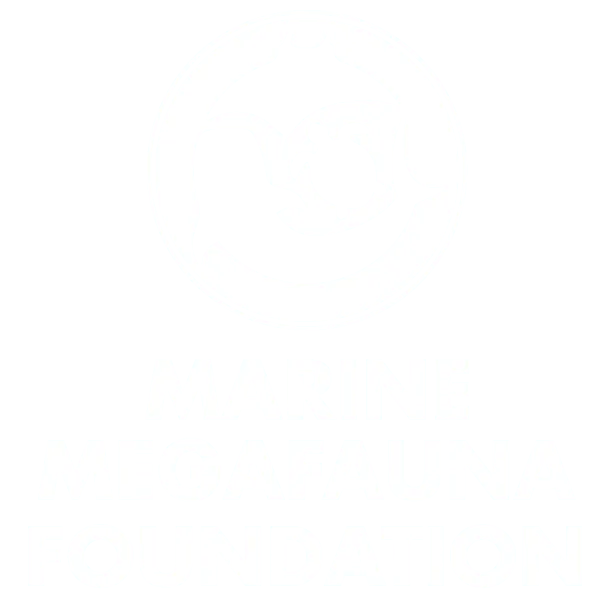 marine-megafauna-foundation-1 Stylized round logo showing silhouettes of a whale, manta ray, and sea turtle, with the text Marine Megafauna Foundation below.